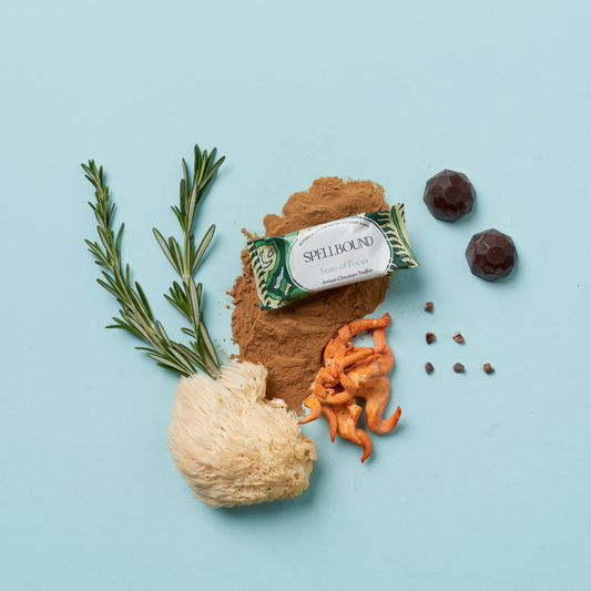 State of Focus - Focus Boost Chocolate Truffle