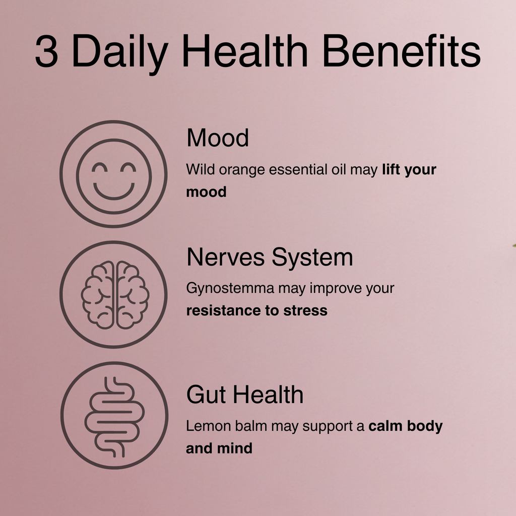 State of Zen - Stress & Anxiety Chocolate Truffle